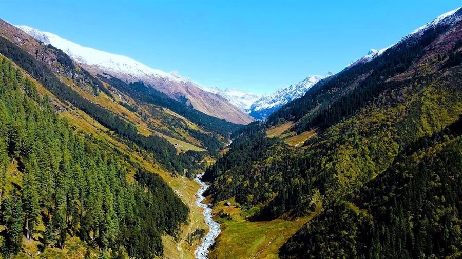 Pine-covered valley with a river and snowy peaks in Himachal Pradesh