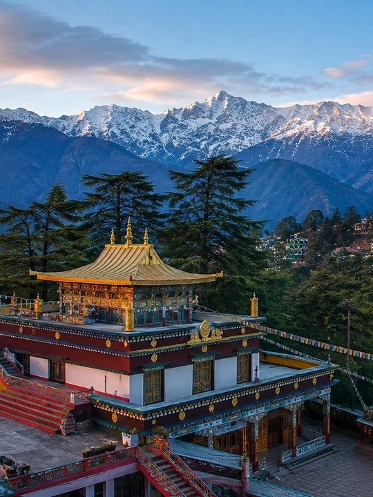 Golden-roofed Tibetan monastery below the snow-capped Dhauladhar range, McLeod Ganj