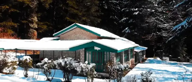 Snow-covered cottage with a green-trimmed roof among deodar trees and frosted shrubs