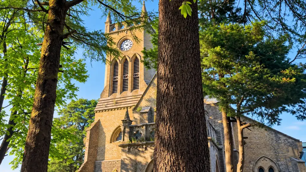 Christ Church in Kasauli with its stone clock tower among tall trees