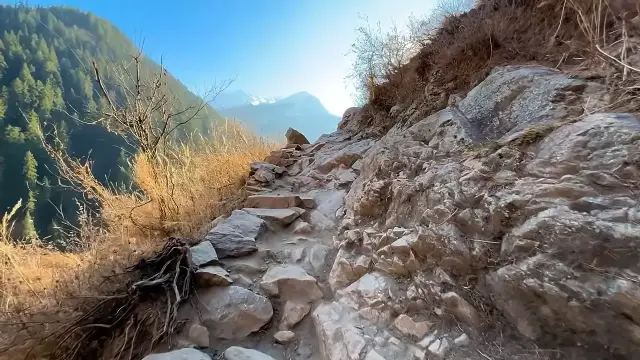 Rocky mountain trail through dry grass and pine trees in the Parvati valley