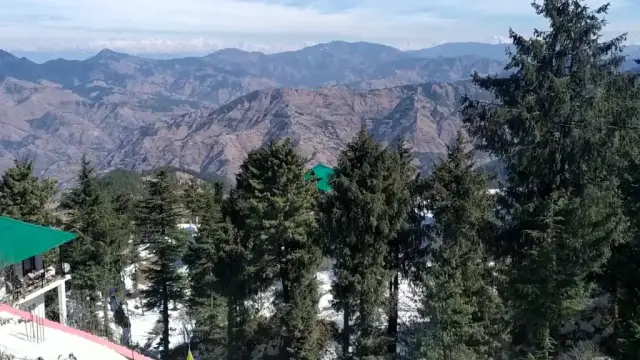 Deodar trees and snow patches in Kufri, with layered brown hills and distant snow peaks behind