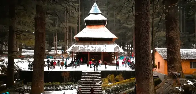 Hadimba temple in Manali with tall deodar trees and light snow