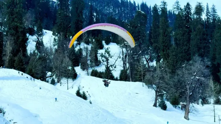 Paraglider flying over snowy pine forest in Solang Valley near Manali