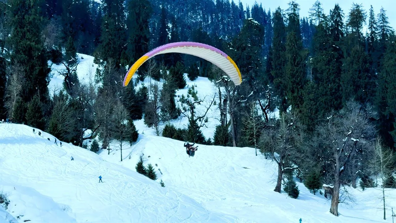 Paraglider flying over snowy pine forest in Solang Valley