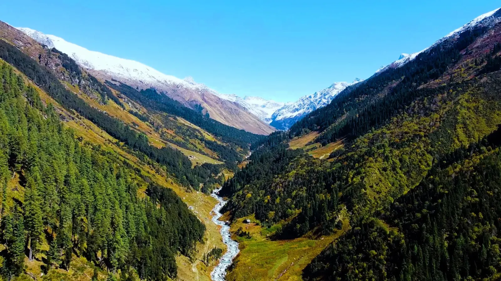 Things to do in Kasol: green Parvati valley with pine forest, a river and snow peaks