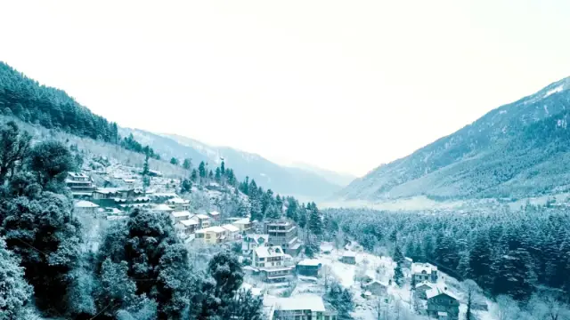 Snowy hillside village above a valley lined with frosted deodar forest
