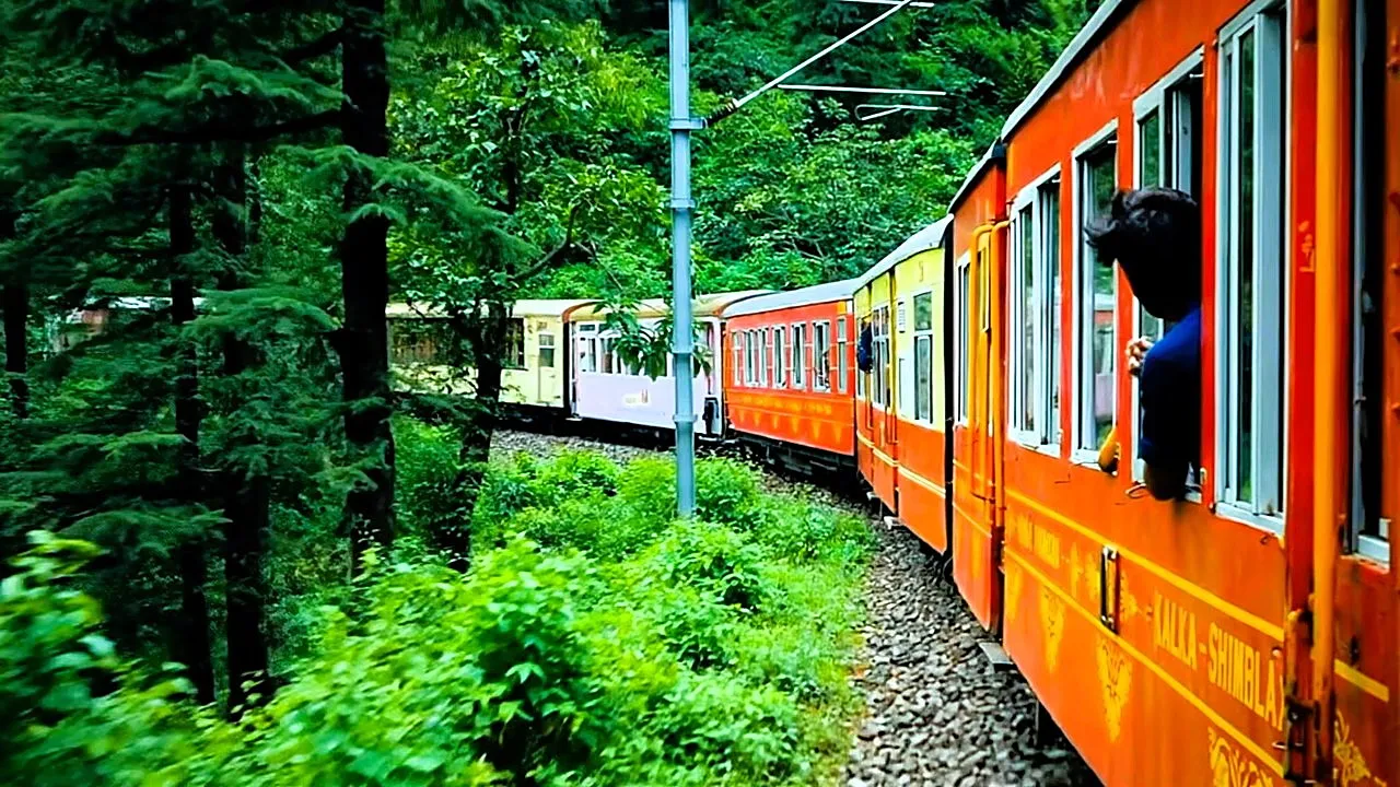 Kalka-Shimla toy train passing through green forest